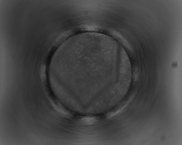 X0000100890213200807220959