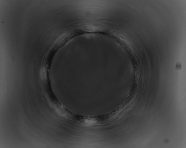 X0000100890214200807220959