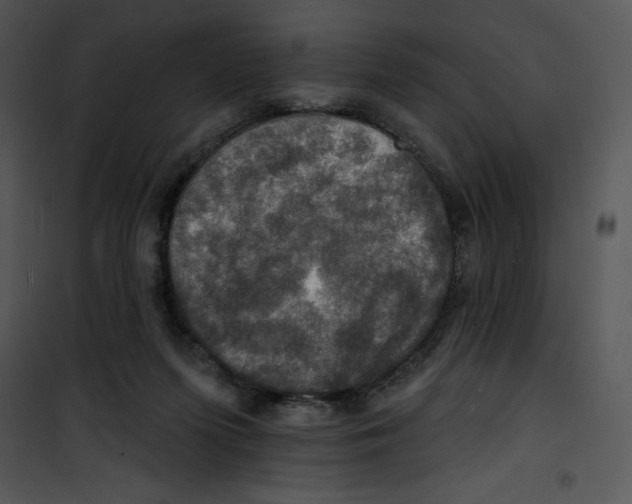 X0000100890215200807220959