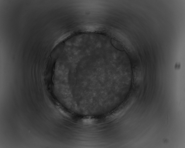 X0000100890216200807220959