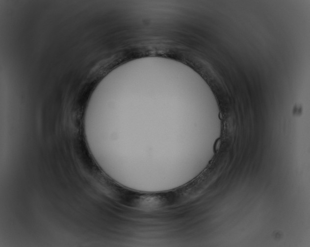 X0000100890218200807220959