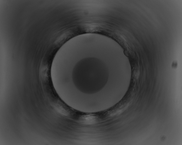 X0000100890219200807220959