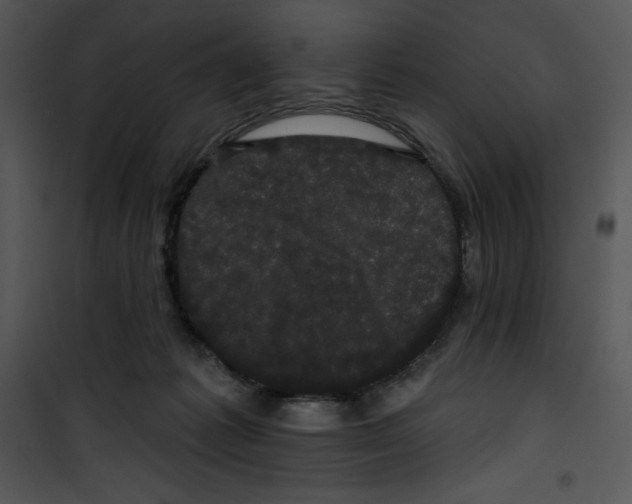 X0000100890221200807220959