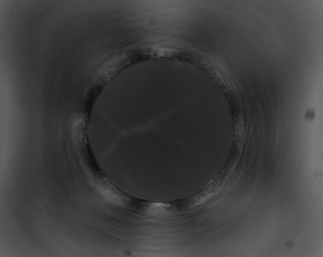 X0000100890222200807220959