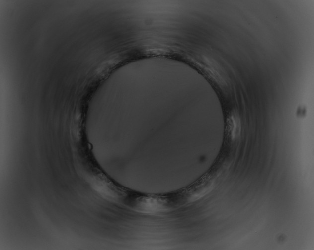 X0000100890223200807220959