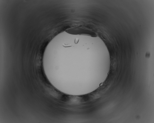 X0000100890226200807220959