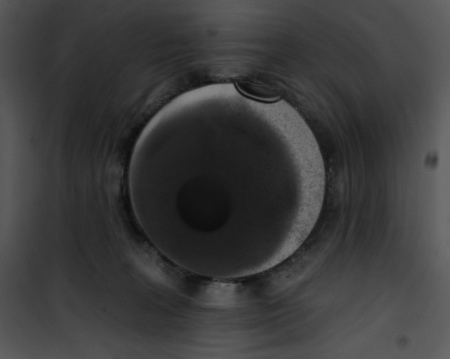 X0000100890227200807220959