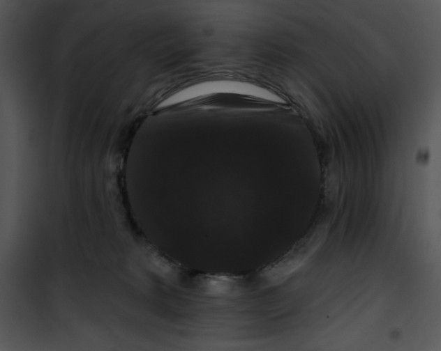 X0000100890229200807220959