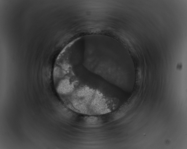 X0000100890230200807220959