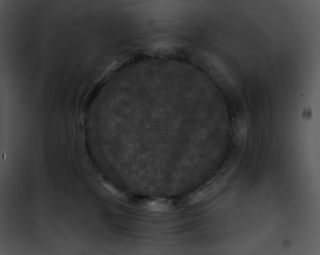 X0000100890232200807220959