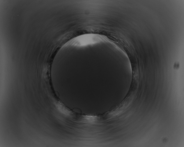 X0000100890233200807220959