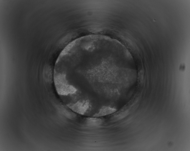 X0000100890234200807220959