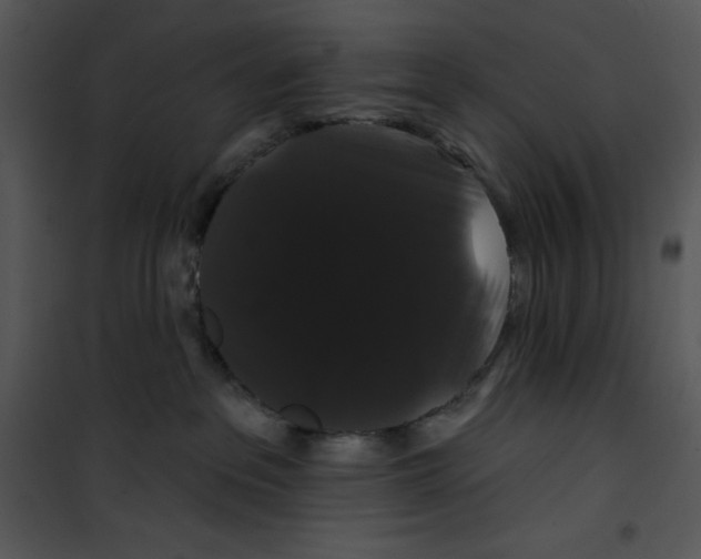 X0000100890237200807220959