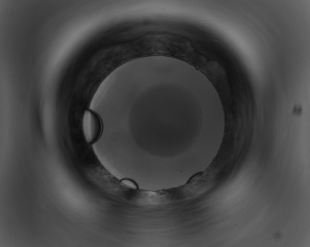 X0000100890239200807220959