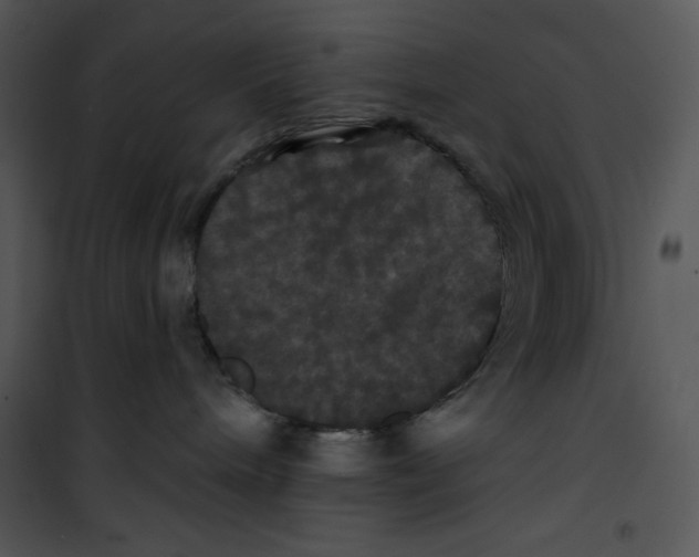 X0000100890240200807220959