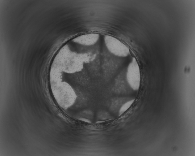 X0000100890241200807220958