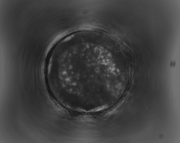 X0000100890244200807220958