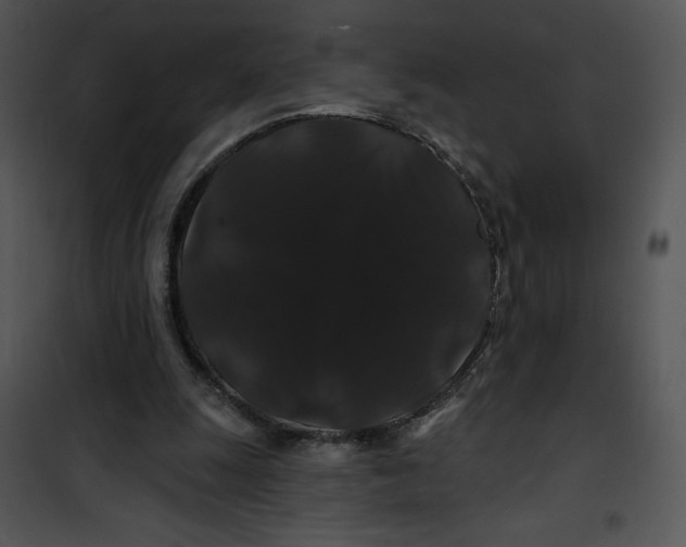 X0000100890247200807220958