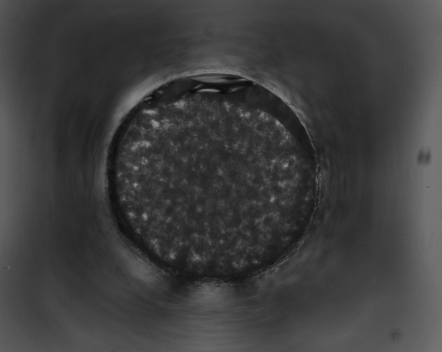 X0000100890248200807220958