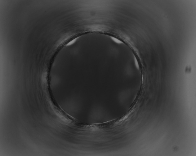 X0000100890249200807220958