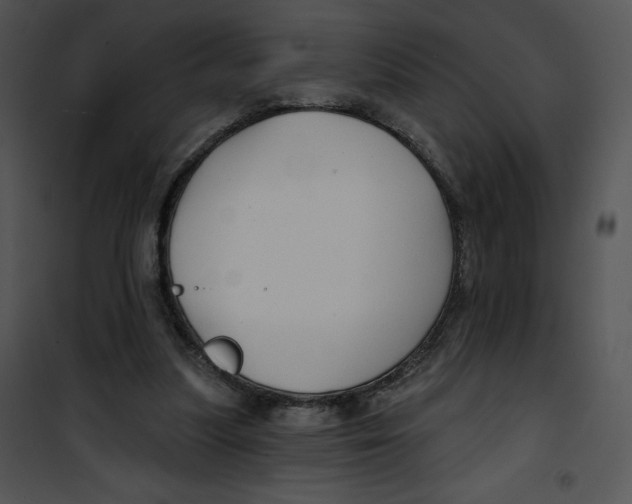 X0000100890251200807220958