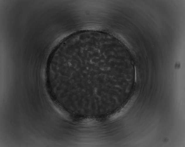 X0000100890252200807220958