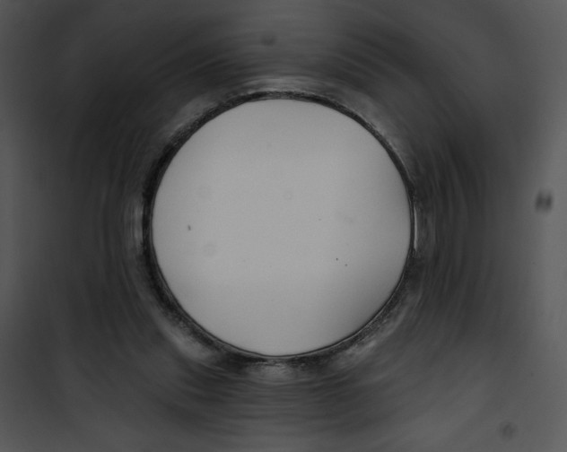 X0000100890253200807220958