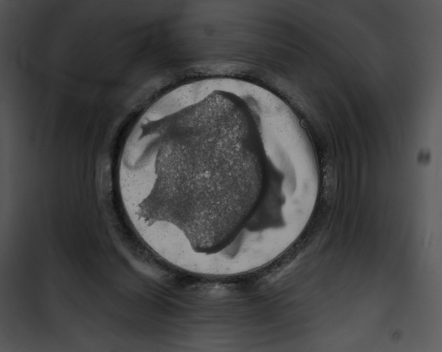 X0000100890254200807220958