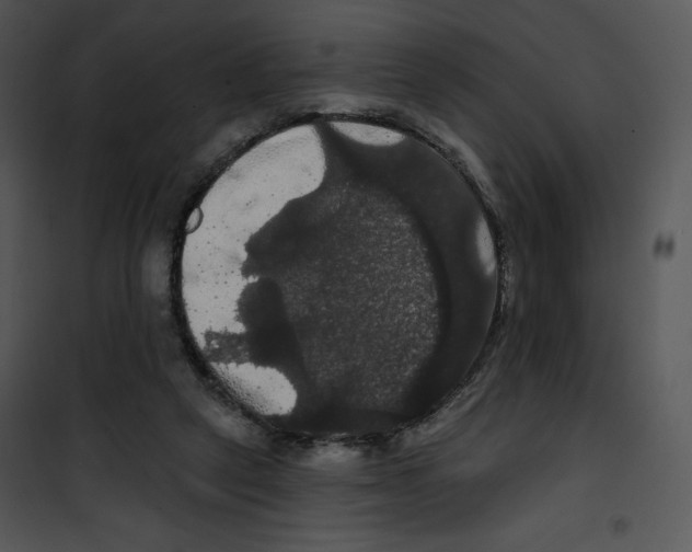 X0000100890257200807220958