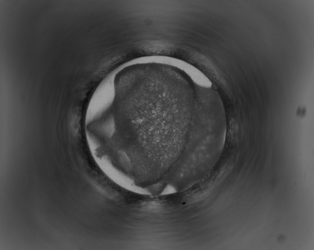 X0000100890259200807220958