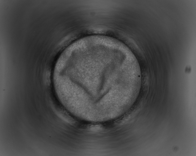 X0000100890262200807220958