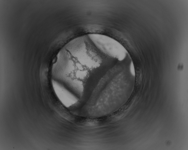 X0000100890263200807220958