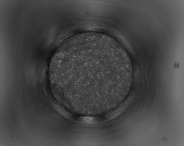 X0000100890265200807220958