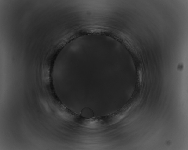 X0000100890267200807220958