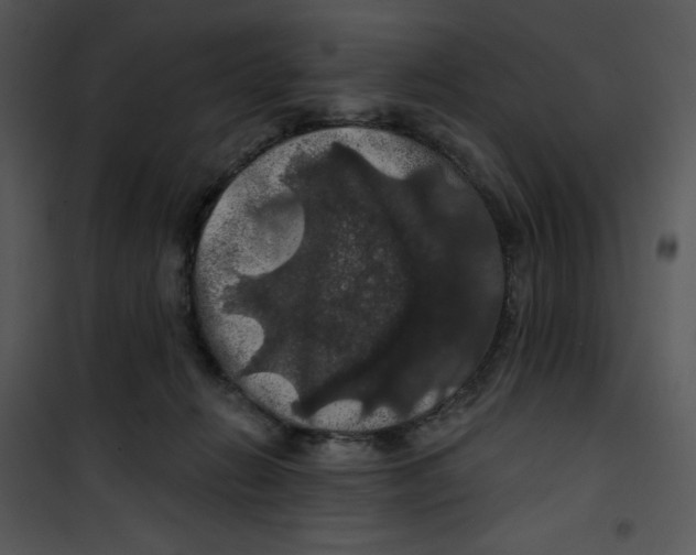 X0000100890270200807220958