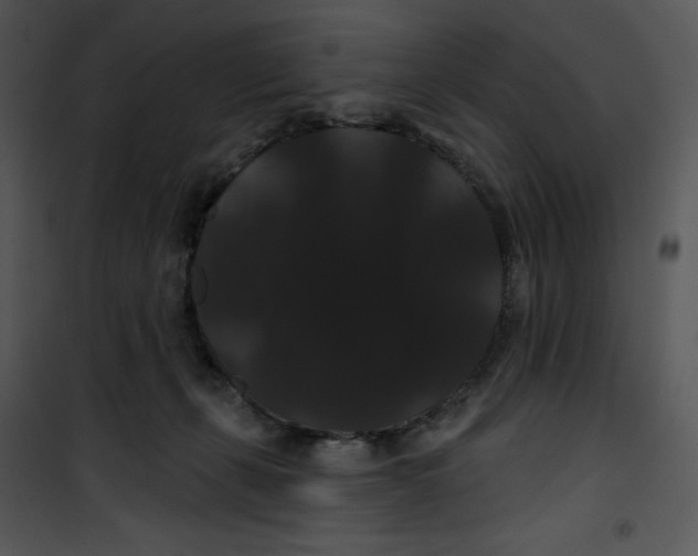 X0000100890271200807220958