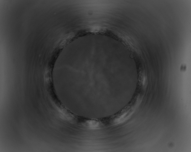 X0000100890272200807220958