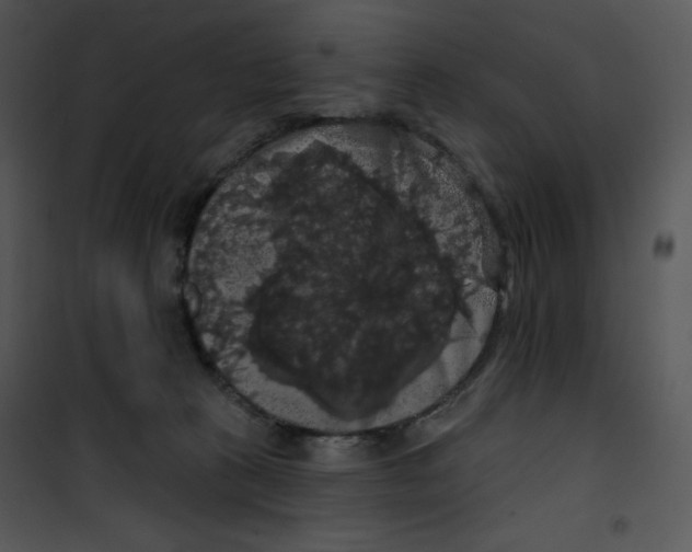 X0000100890273200807220958