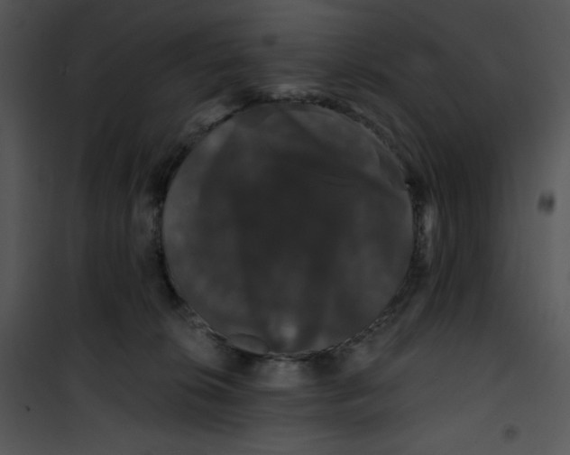 X0000100890276200807220958