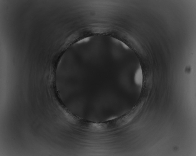 X0000100890277200807220958