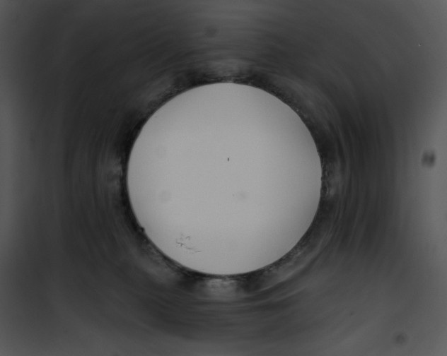 X0000100890279200807220958