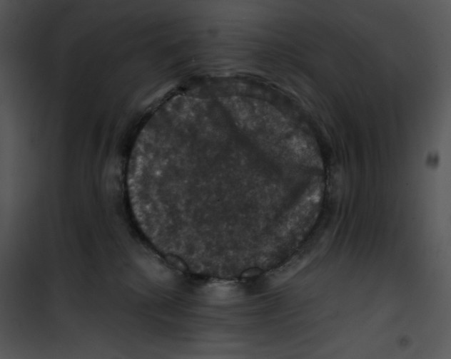 X0000100890280200807220958