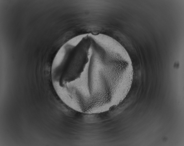 X0000100890281200807220958