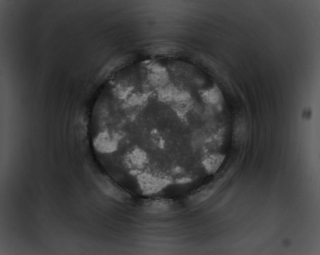 X0000100890282200807220958