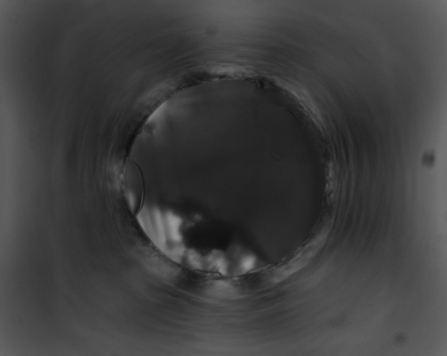 X0000100890285200807220958