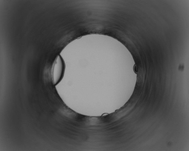 X0000100890287200807220958