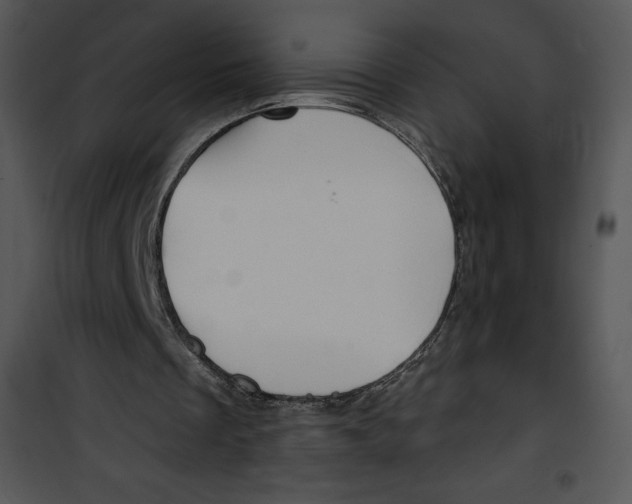 X0000100890289200807220958