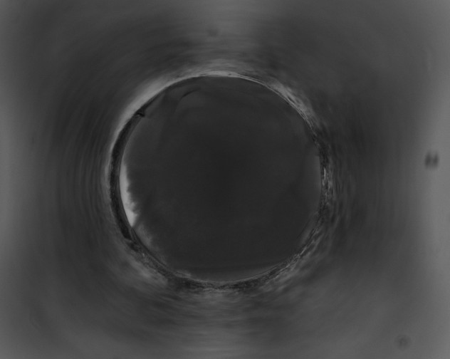 X0000100890292200807220958