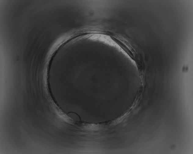 X0000100890293200807220958