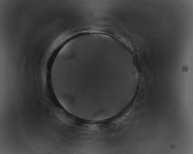 X0000100890295200807220958